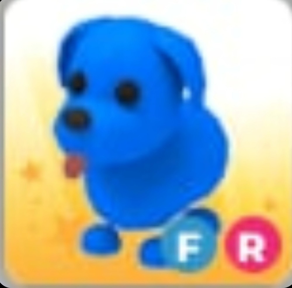 Blue Dog | Adopt Now