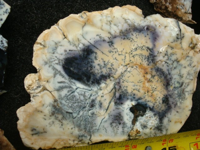 turkish opal slabs