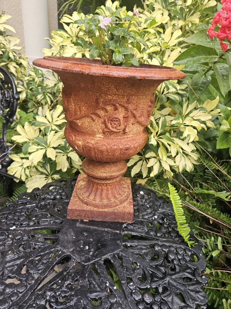 cast iron urn planter
