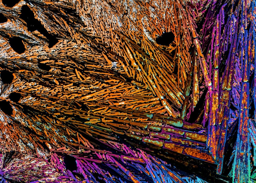 Microscope slide for polarized light, OXALIC ACID