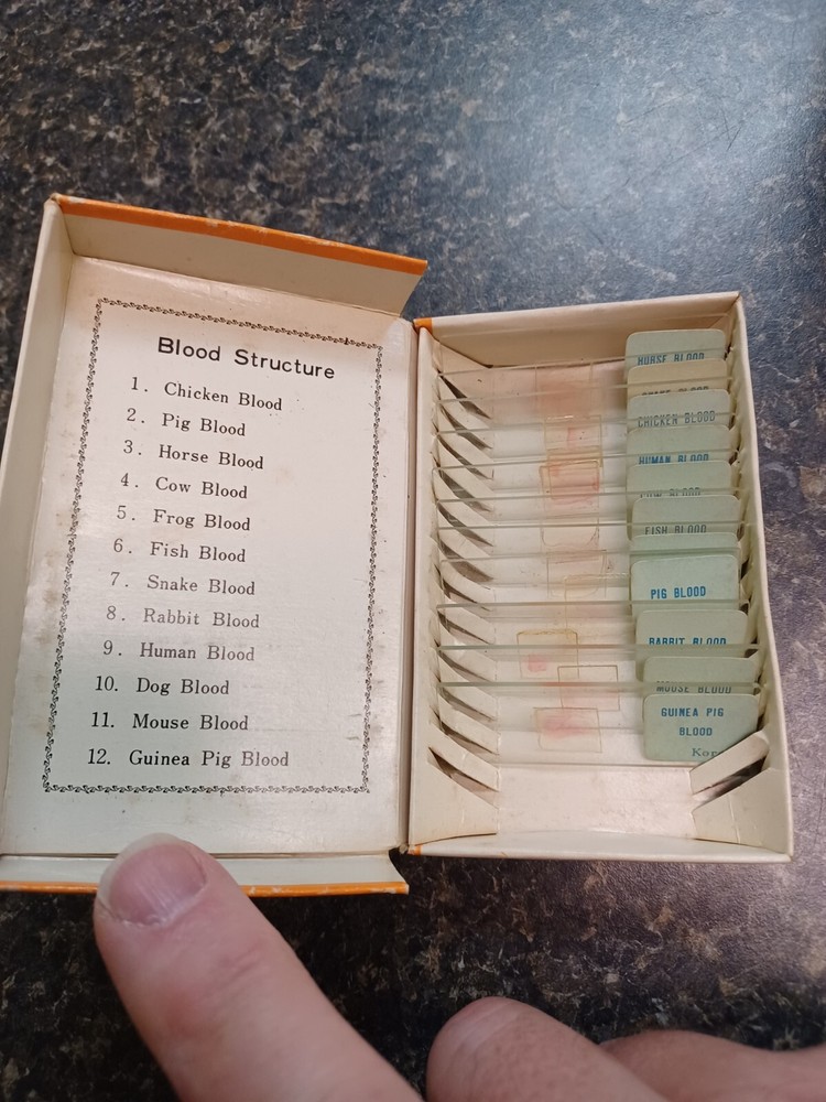 Vintage Sears Prepared And Labeled Microscope Slides