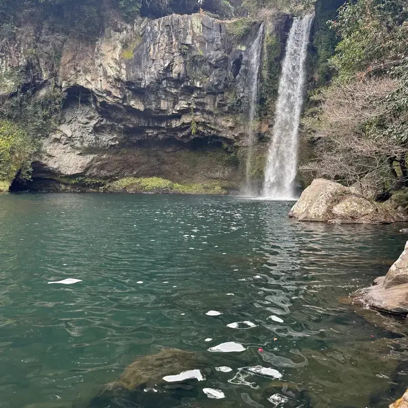 Payment Page for Purchase Official