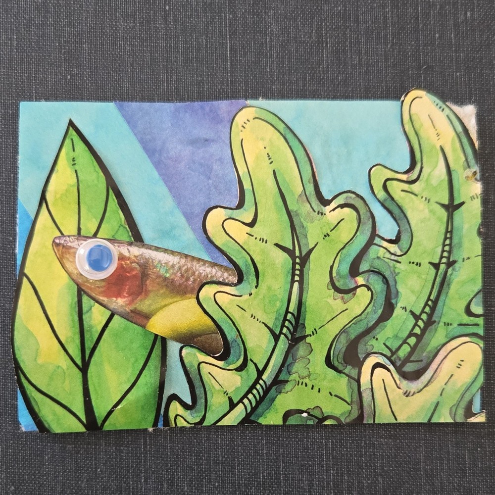 ACEO-Mixed Media Collage Fish Art, Handmade