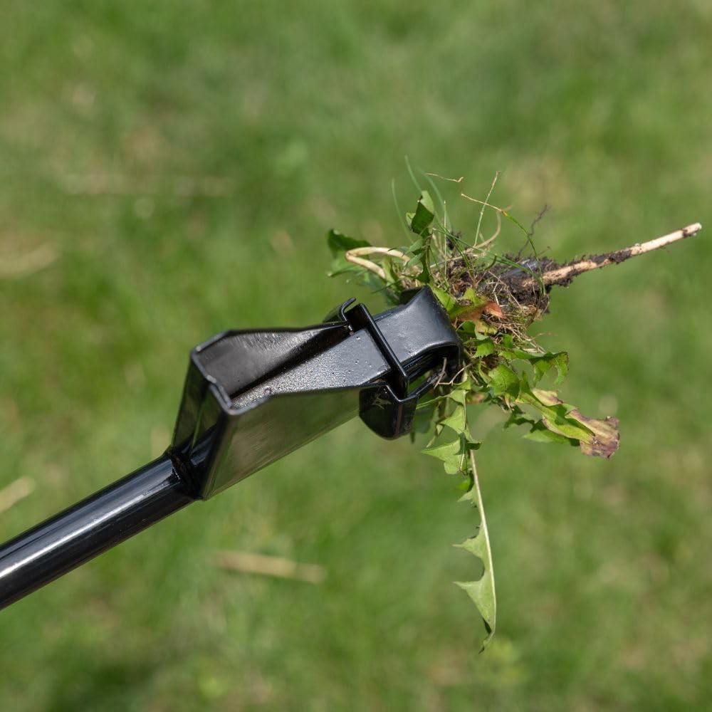 Weed Hound Stand Up Weed Puller 36" - Upright Dandelion Root Remover Tool wit...