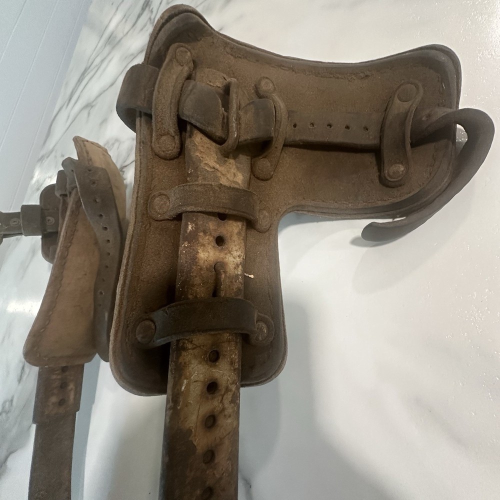 Vintage/Antique Tree Pole Climbing Spikes