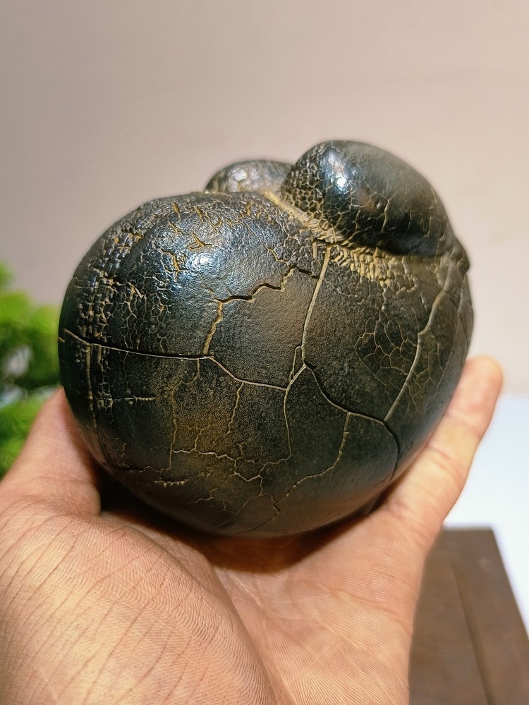 China Natural stone "tortoise back pattern" stone Moire stone 108816