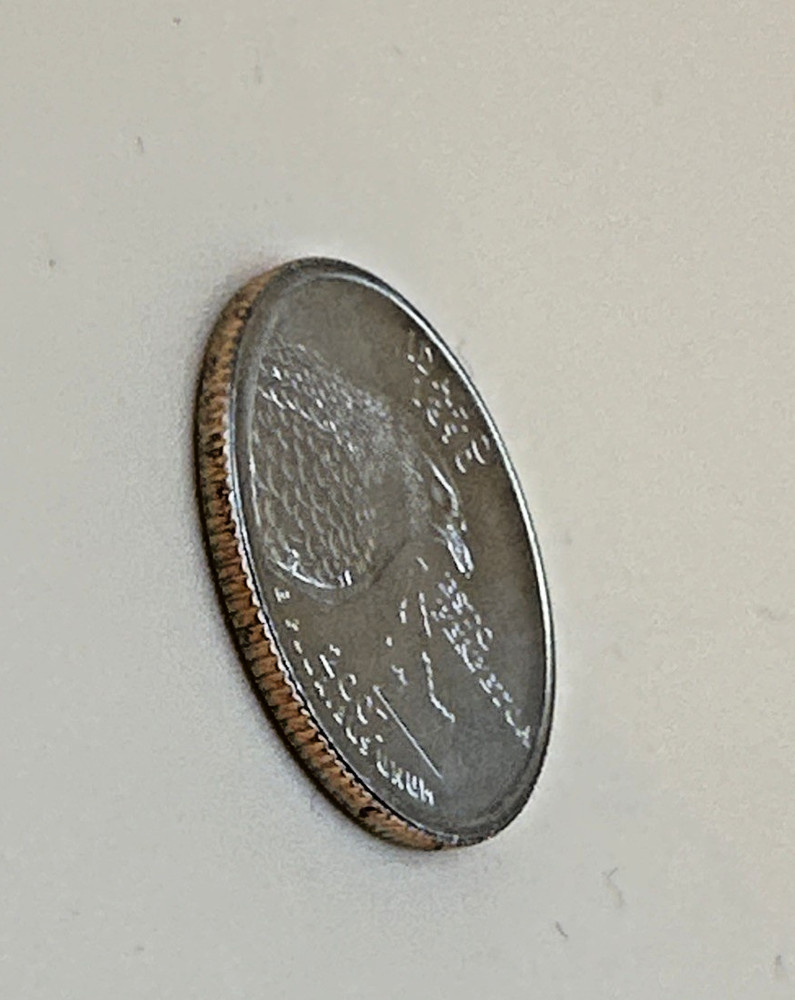 2007-P Idaho State Quarter- Uncirculated