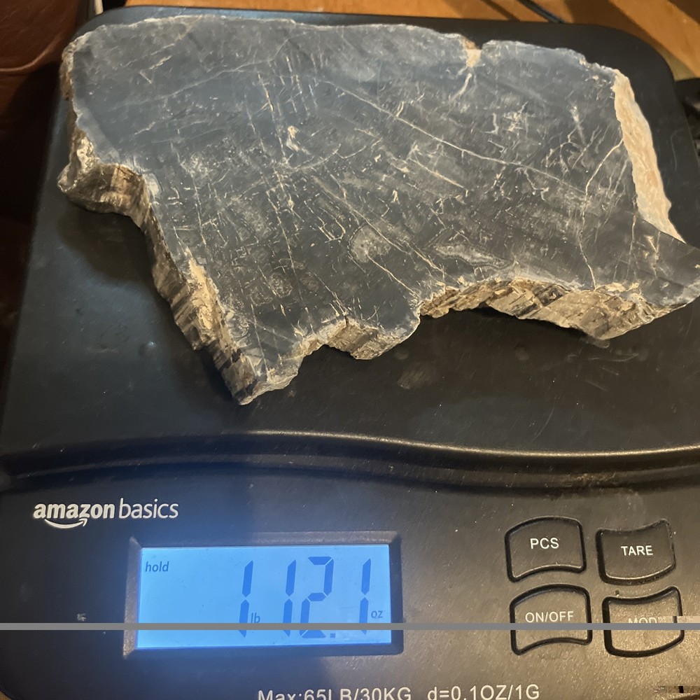 Petrified Wood Slab (End Cut)