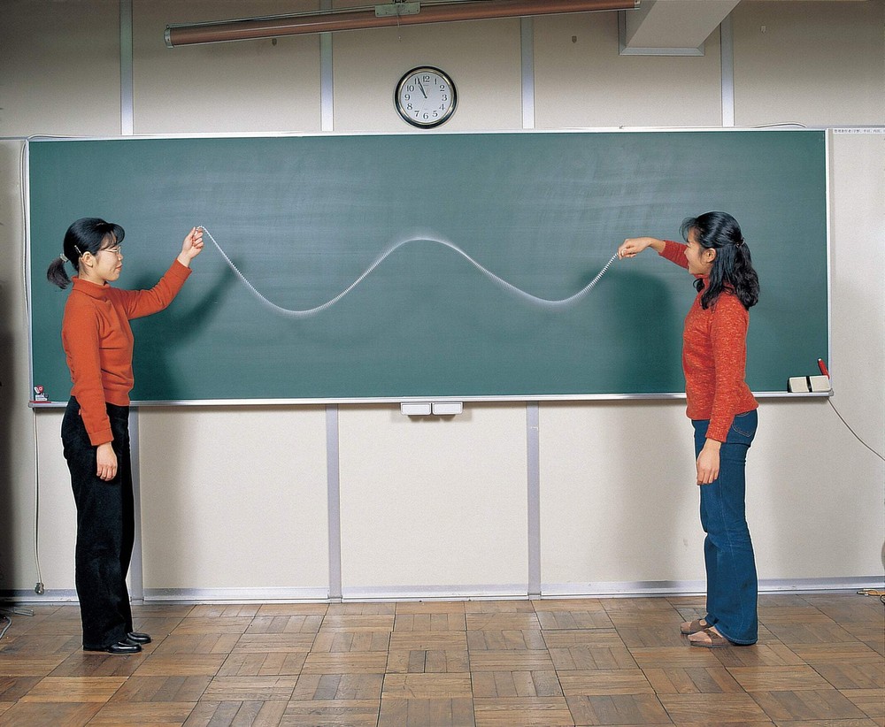 Wave Demonstration, Spring, Pack of 10