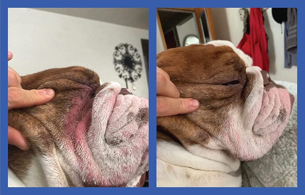 Squishface Flexible Silicone Dog Wrinkle Paste Applicator - Gentle Application