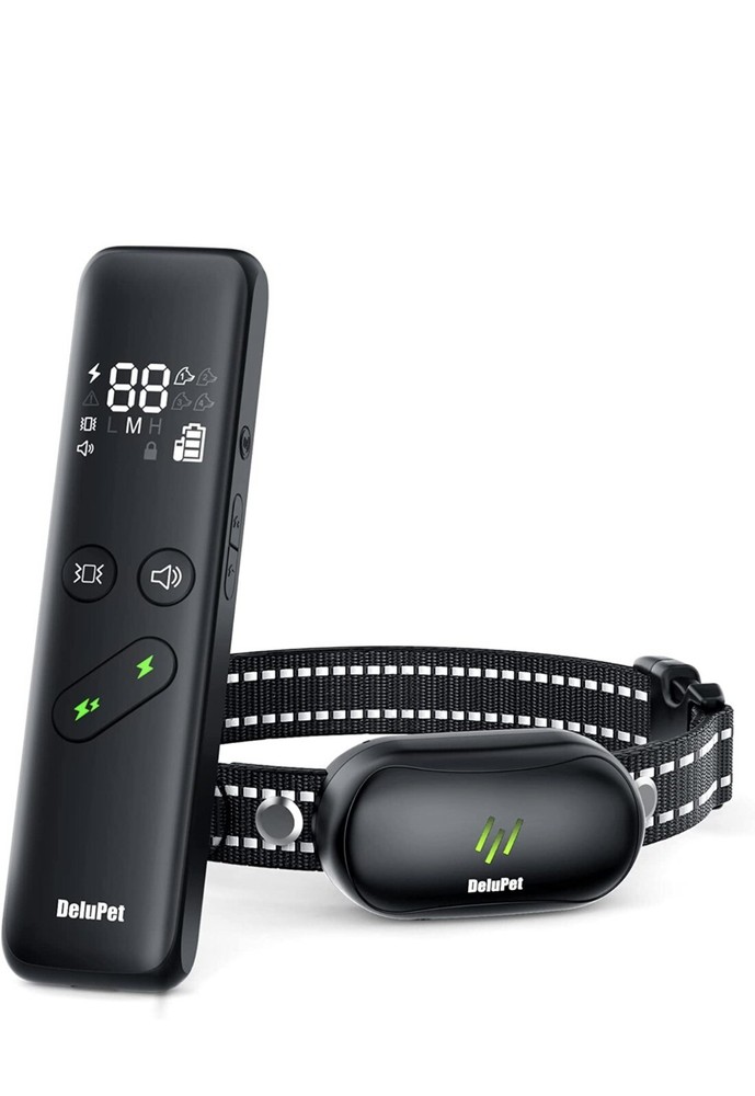 dog training collar with remote