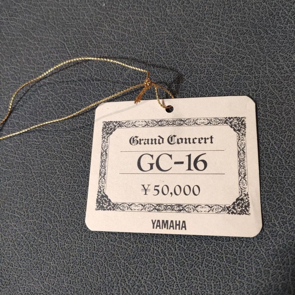 Yamaha GC-16 Case Safe Packing!