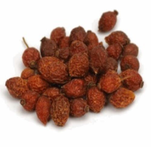 Squirrel Food Starter Package