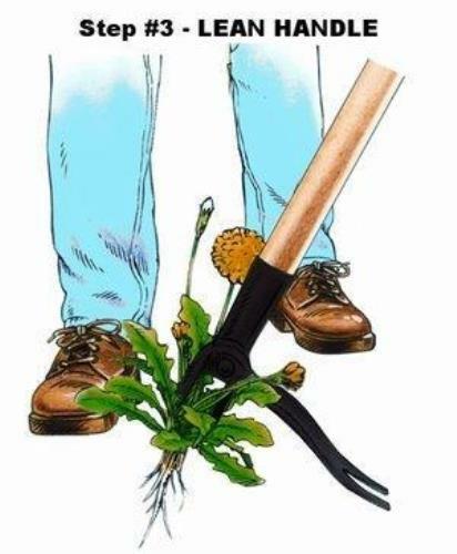 Grampa's Weeder - The Original Effortless Weed Remover