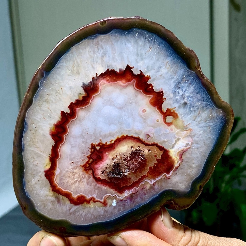 287G Natural Beautiful Agate Geode Druzy Slice Extra Large Gemstone