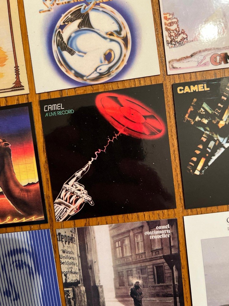 Camel fridge magnets