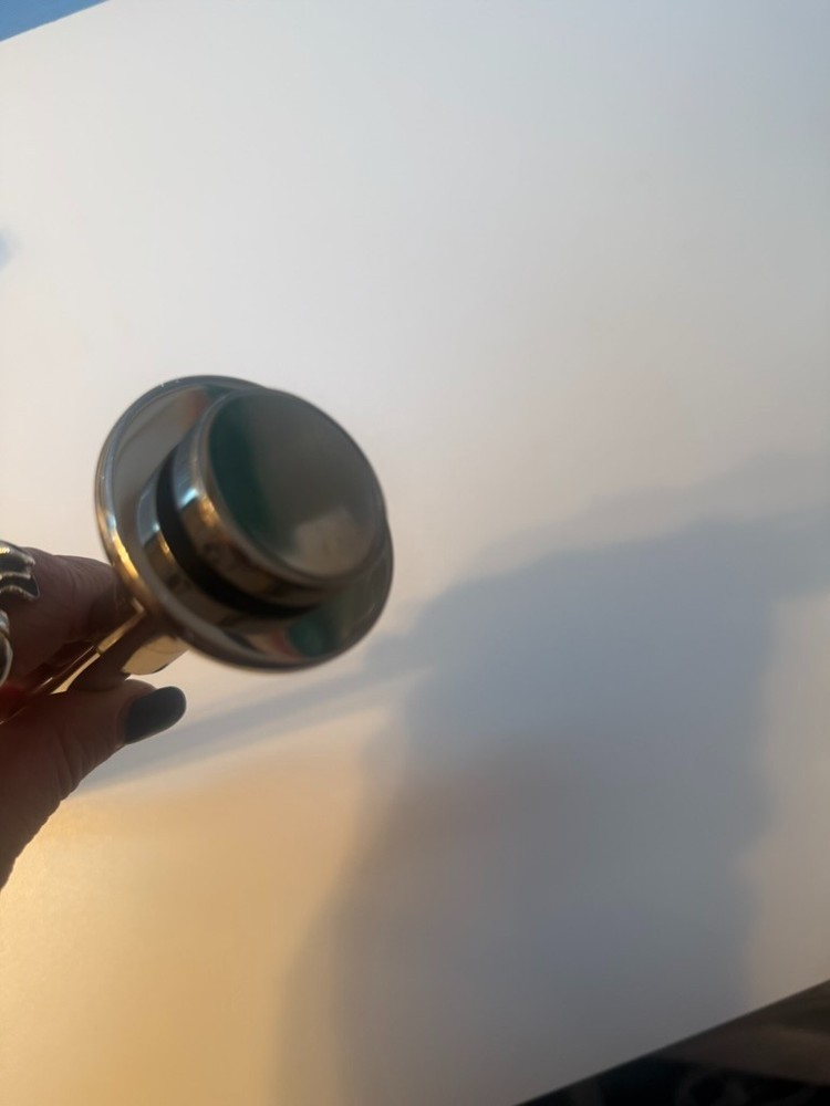 Rajack Retractable Pullout Garment Rod, 8" Inc, Polished Nickel disk tip