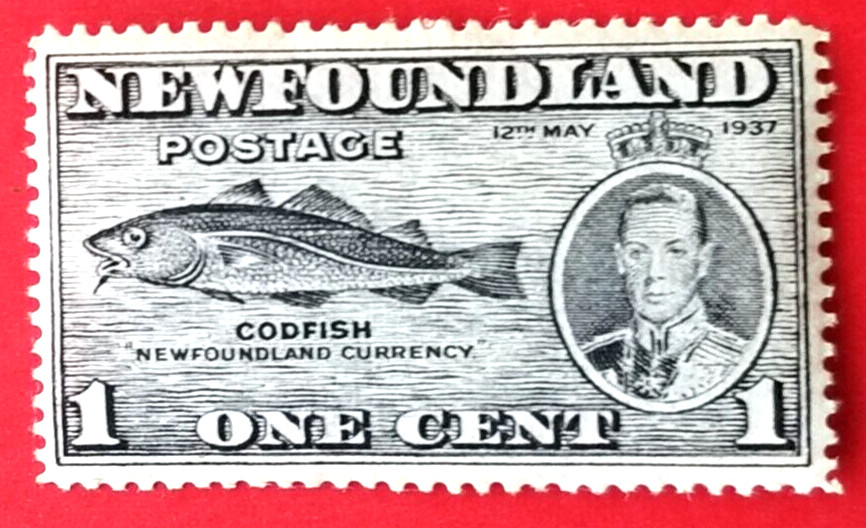 Canada Newfoundland #233a 13.3x13.2 Long Coronation Issue - Codfish MH