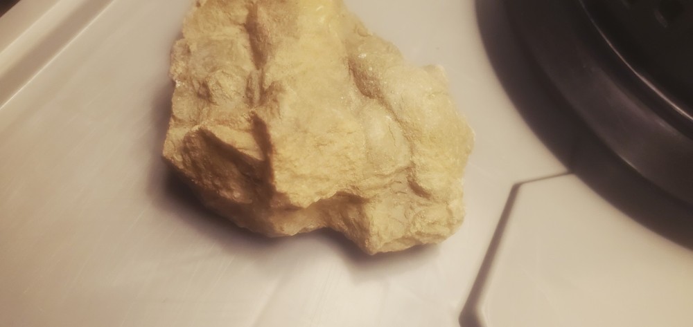 Fossil Geological