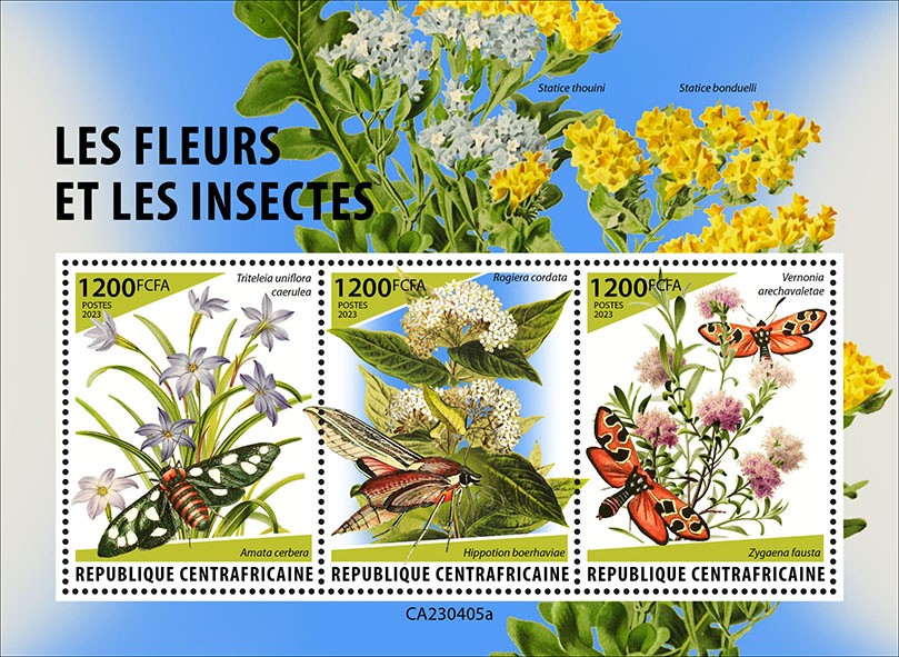 Flowers & Insects