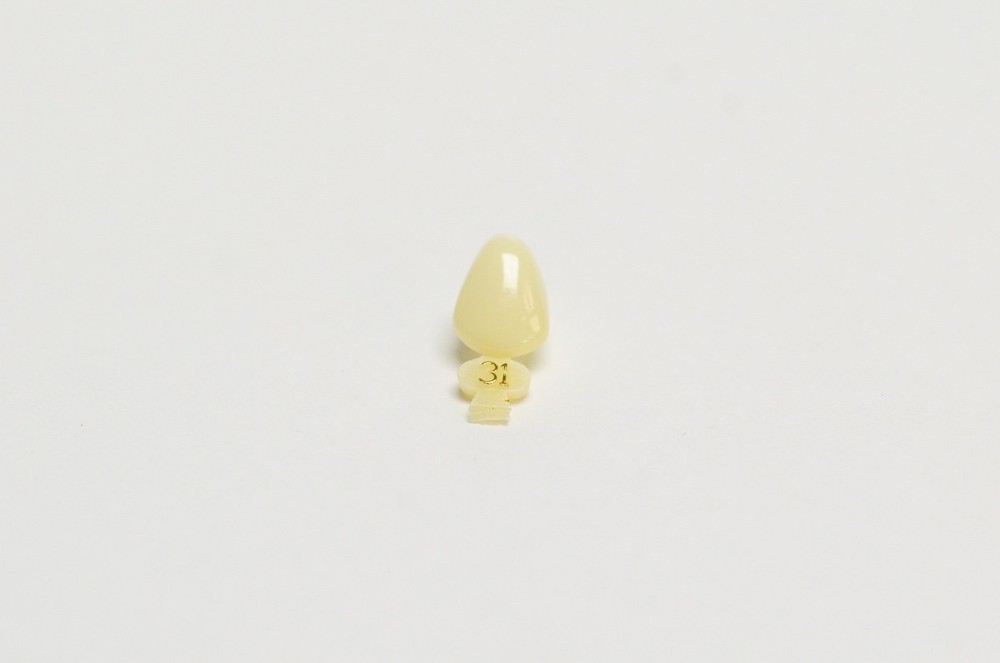 DENTAL POLYCARBONATE TEMPORARY CROWNS #31 (URC) UPPER RIGHT CUSPID 5/PACK