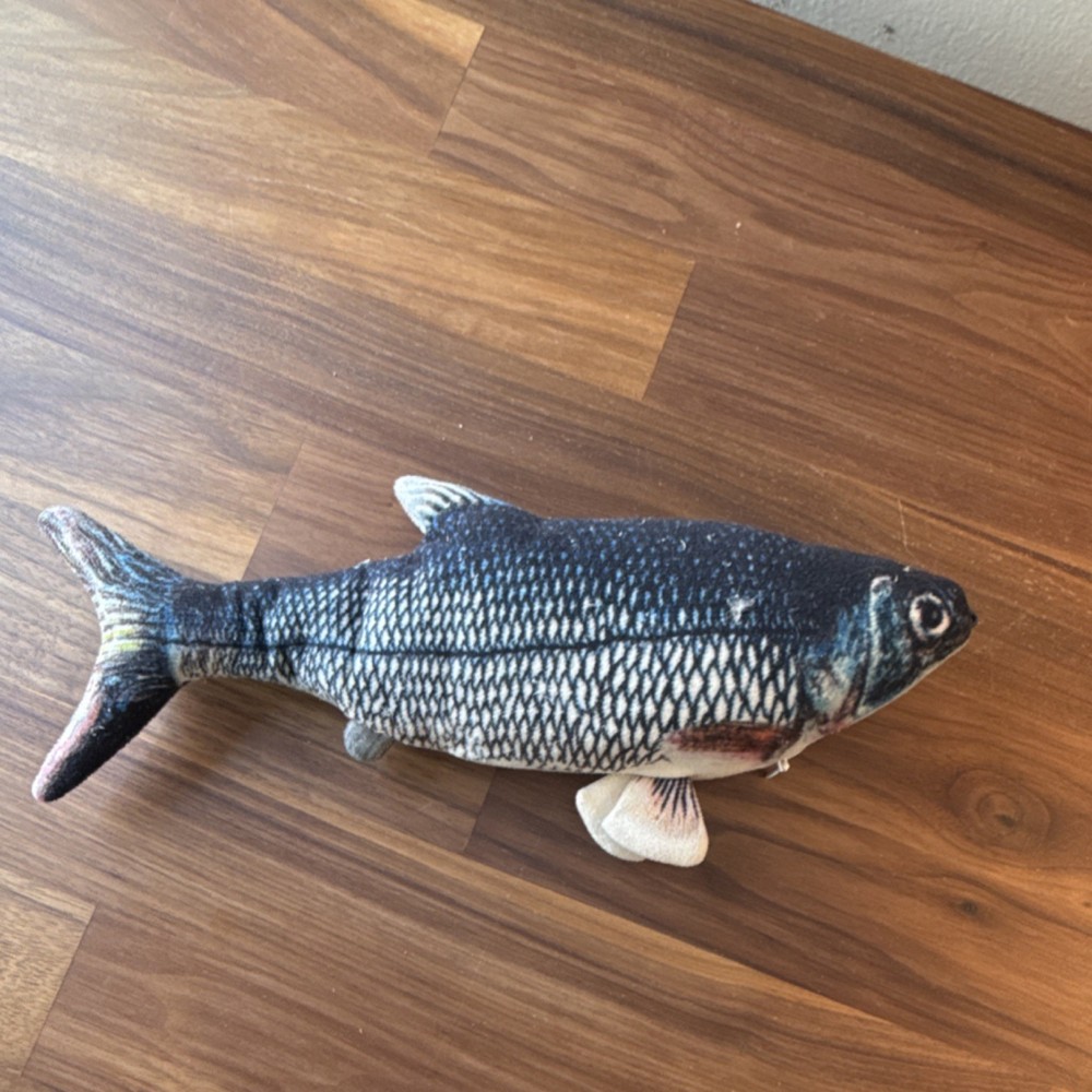 Interactive USB Rechargeable Plush Fish Cat Toy 11 Inch Realistic Design