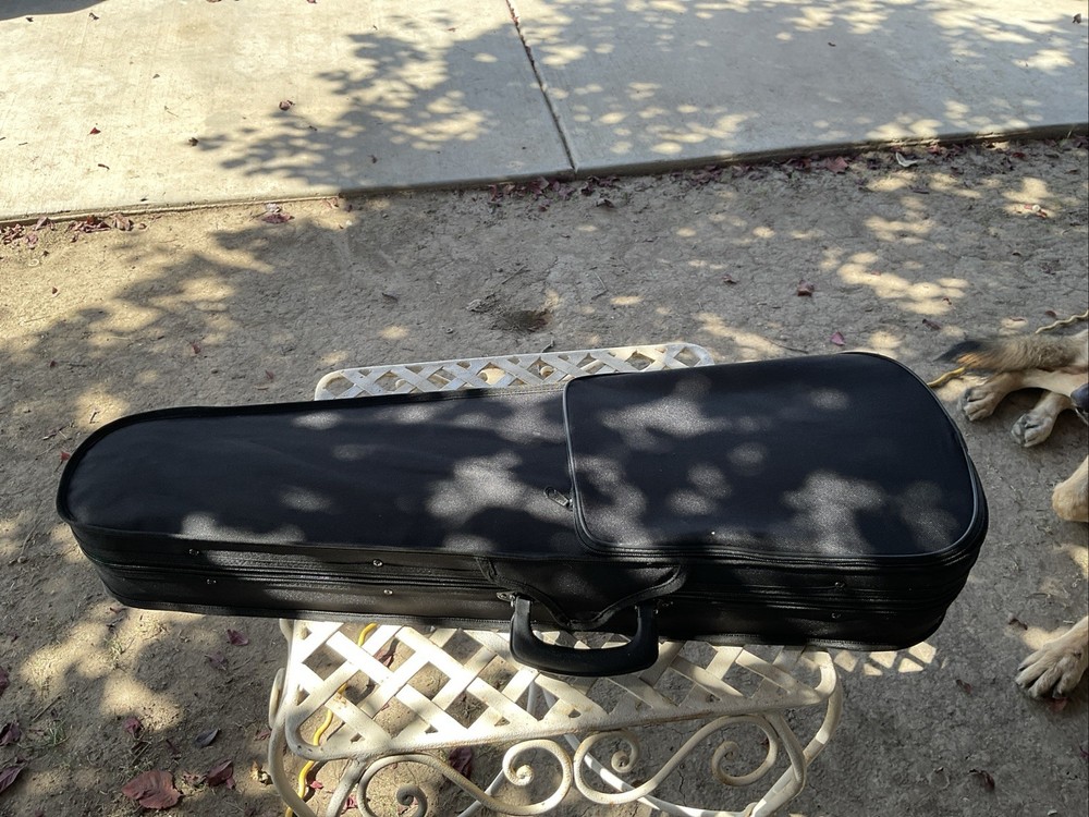 LICO 4/4 VIOLIN VN-01