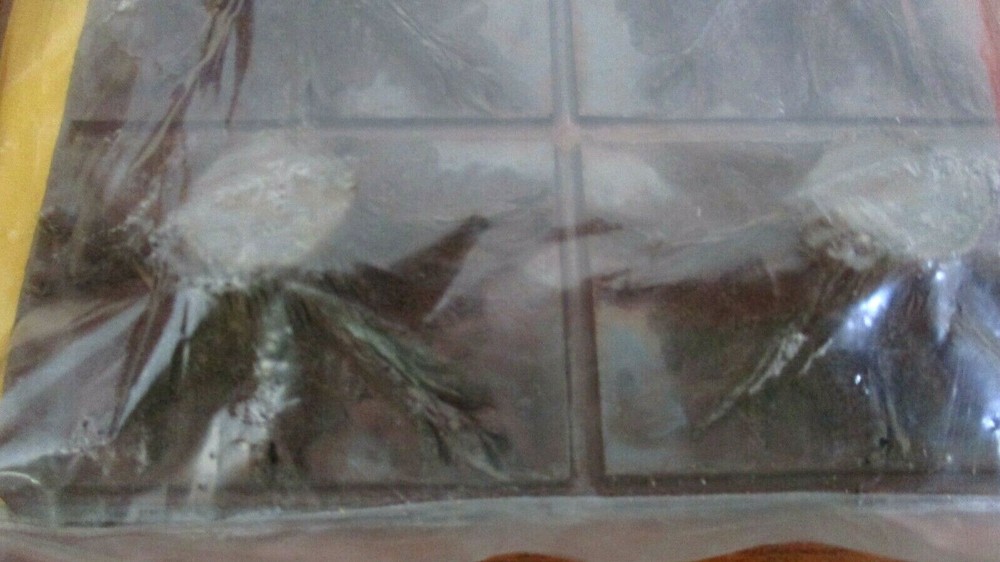 CHOOCH ENTERPRISES~8004 Multi-Scale #4 TREE STUMPS~NIP