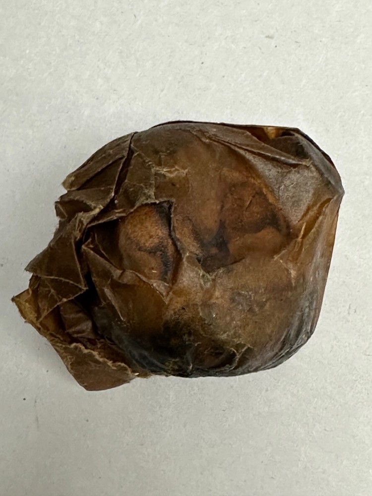 ORIGINAL RUSSIAN MOSIN NAGANT BRASS TURTLE OILER IN ORIGINAL PACKAGE.