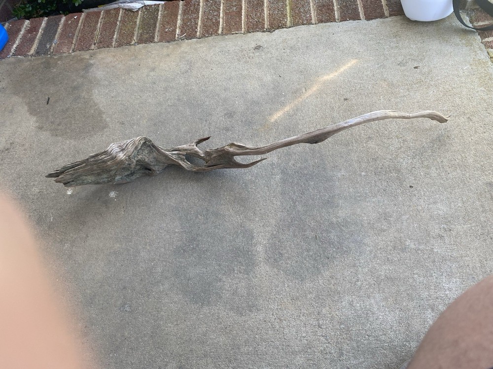 Driftwood
