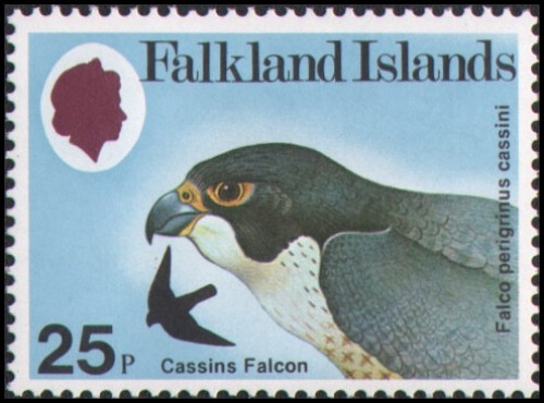 Falkland Islands #309 MNH