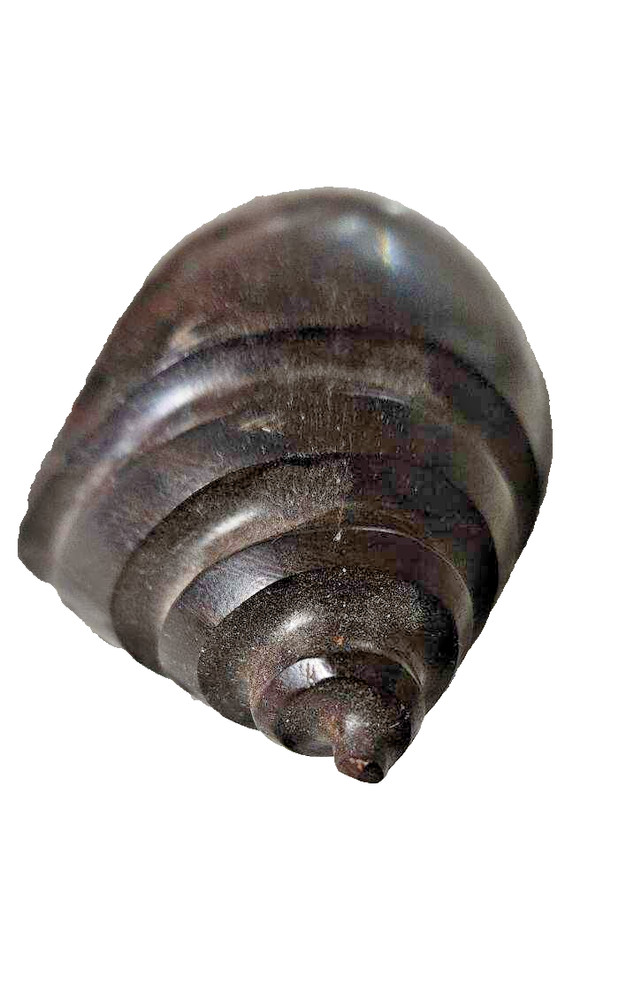 Vintage Ironwood Carved Conch Shell