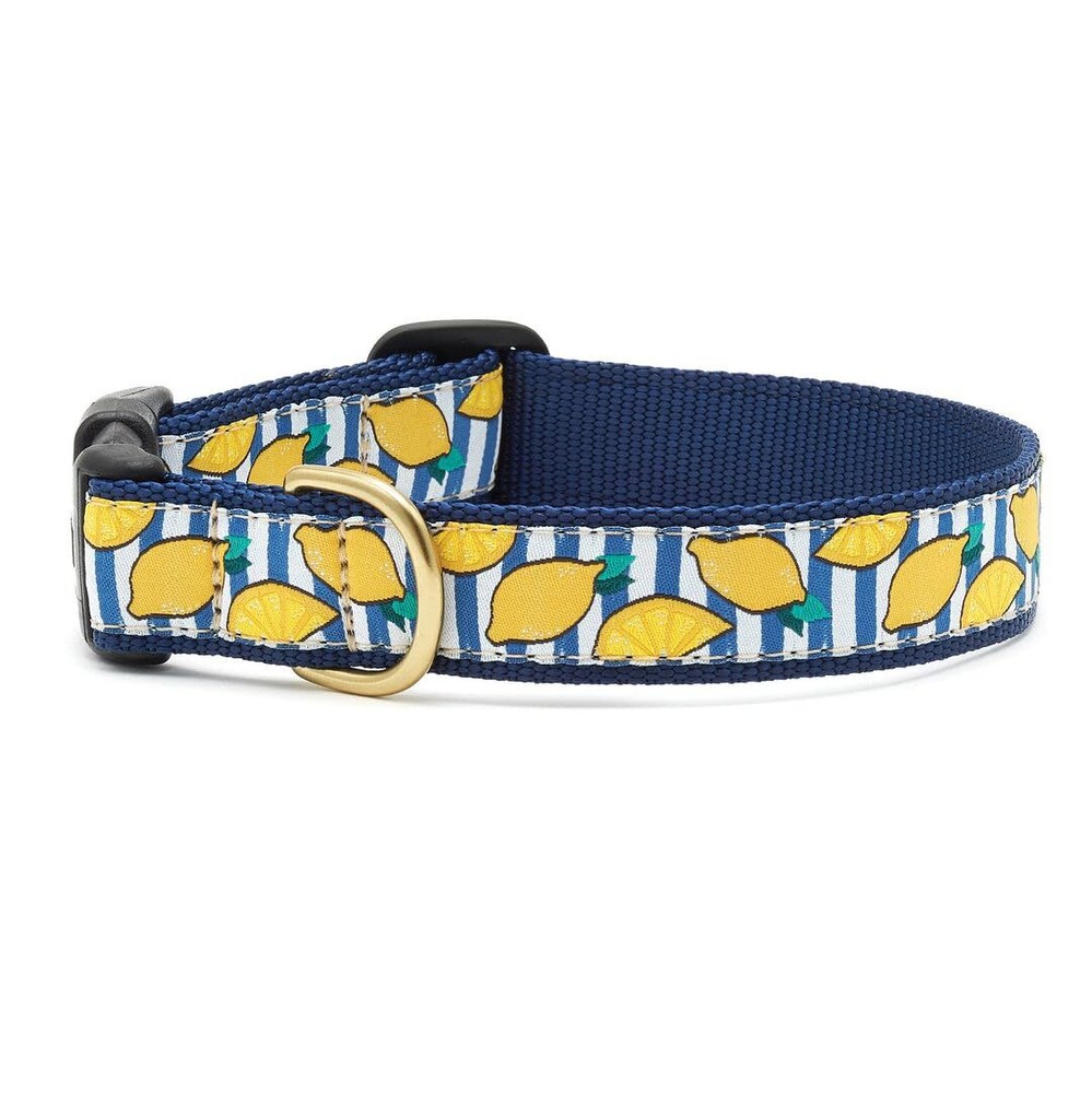 Dog Collar - Make Lemonade Large - fits Necks 15"-21