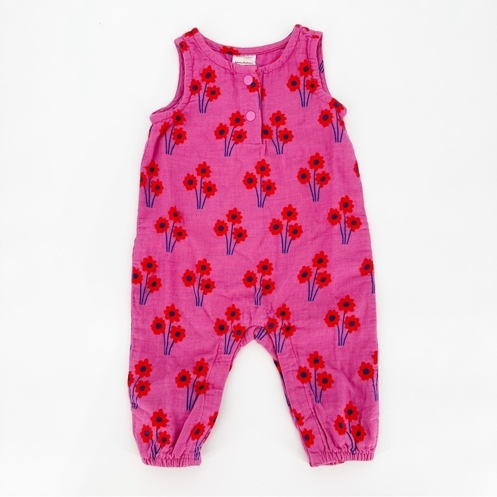 Bundle Hanna Andersson & Tea Rompers 3-6 Months
