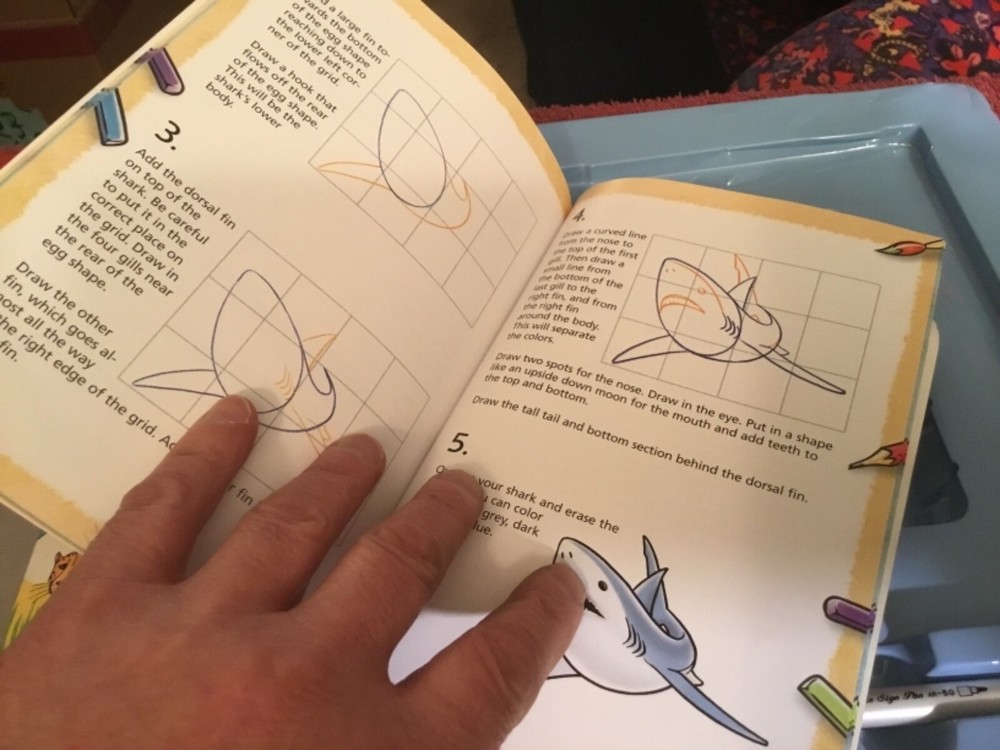Draw Animals Book & Kit
