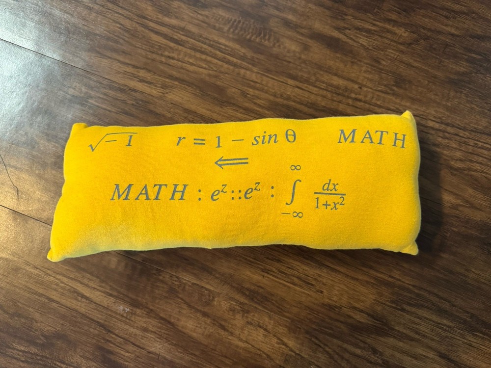 Handmade Small Novelty Math Pillows