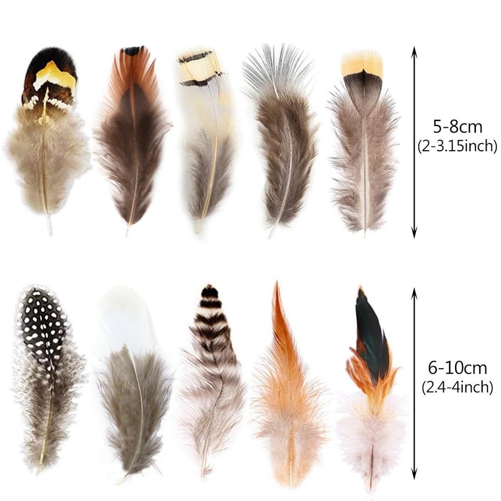 200PCS Natural Assorted Feathers 10 Styles for Dreamcatcher Crafts Decorations