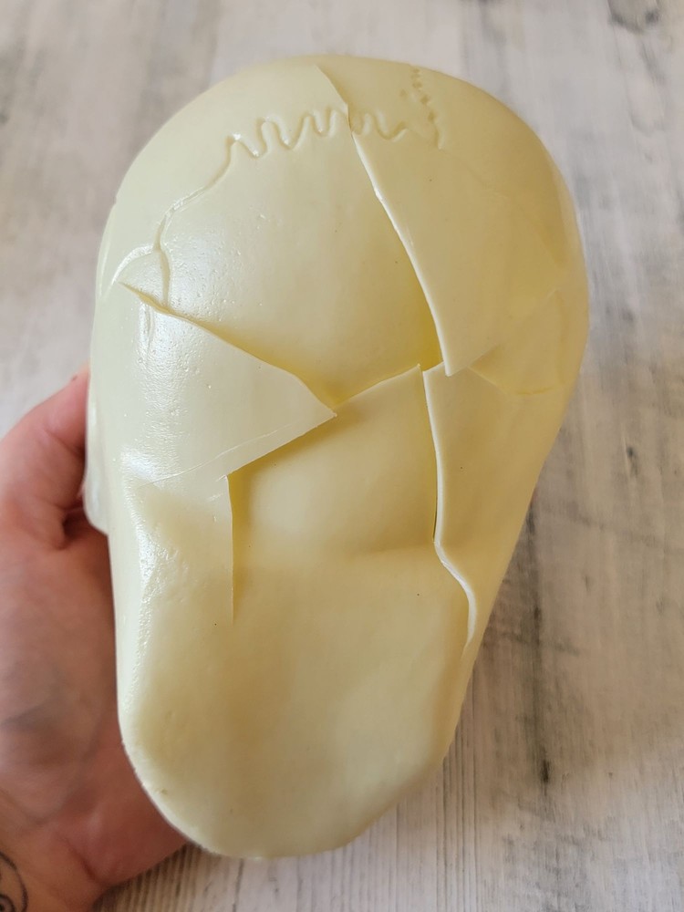 Halloween plastic AS IS skeleton head prop Decor scary