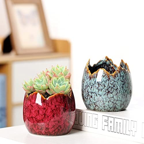 Succulent Pots with Drainage Half Dragon Egg Shell Design Ceramic Dragon Egg-1