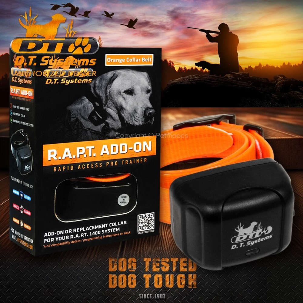 DT Systems RAPT 1400 Orange Add-On Collar Dog Receiver MAXX-Range 360°