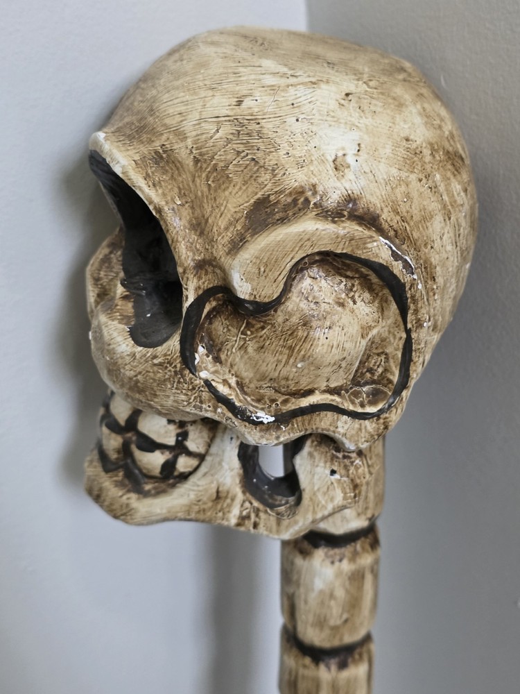 Skull Head 42.5" Walking Stick / Staff Halloween