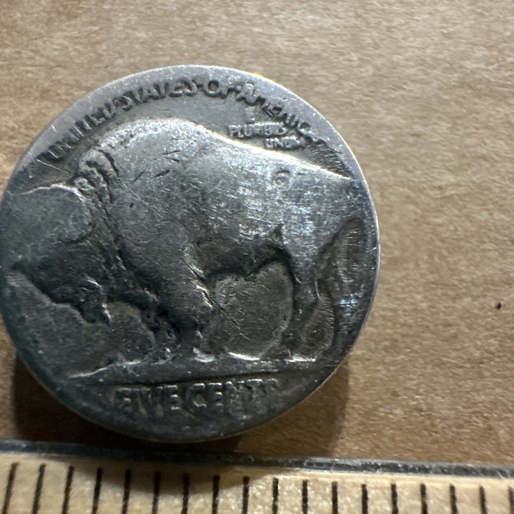 Pair Of Real Buffalo Nickel Button Clips