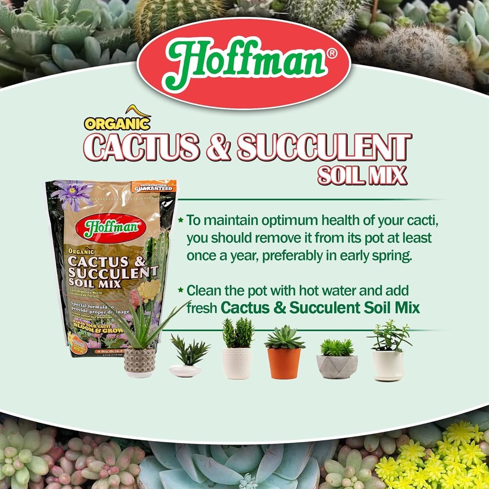 Hoffman Cactus And Succulent Mix 4 Quart Ready To Use Potting Soil