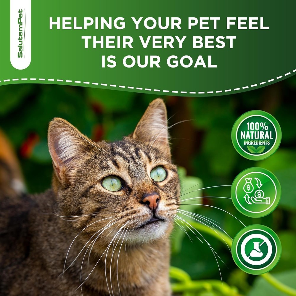 Advanced Cat Probiotic Drops – Digestive Support for Cats with Diarrhea,...