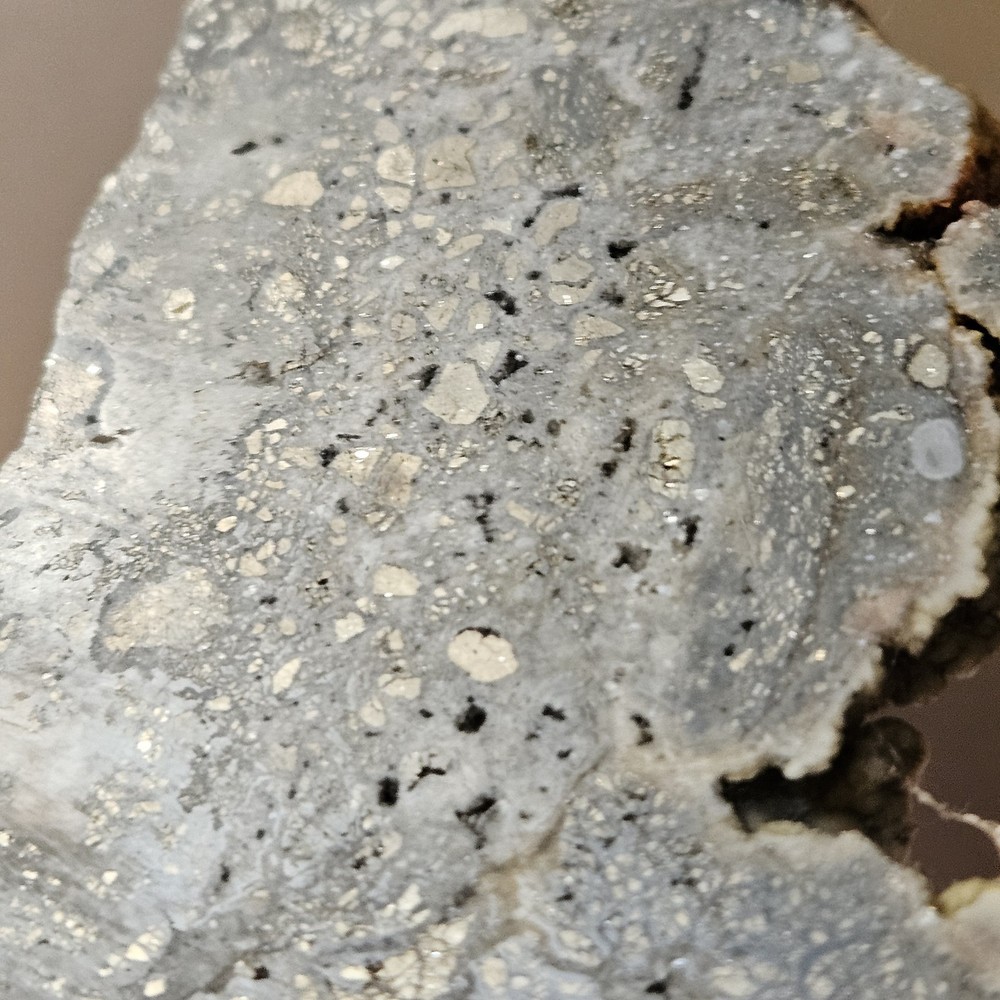 Nipomo Marcasite In Agate Lapidary Slab 113