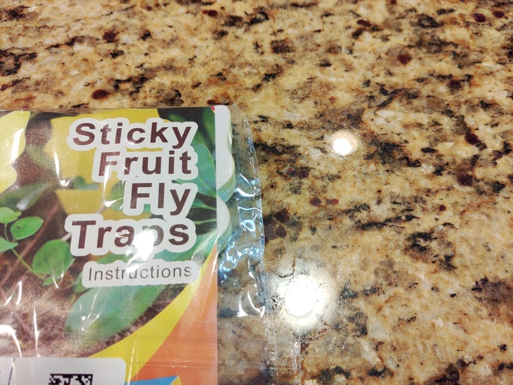 FRUIT FLY STICKY TRAPS 5 X 3 36 PACK
