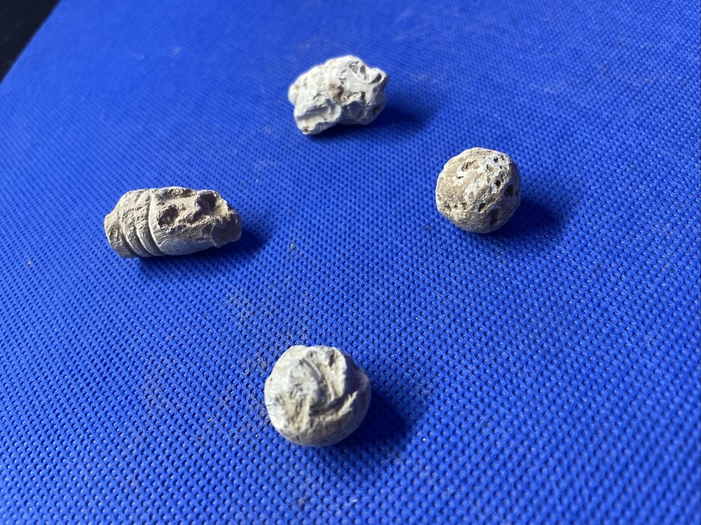 dug civil war relics