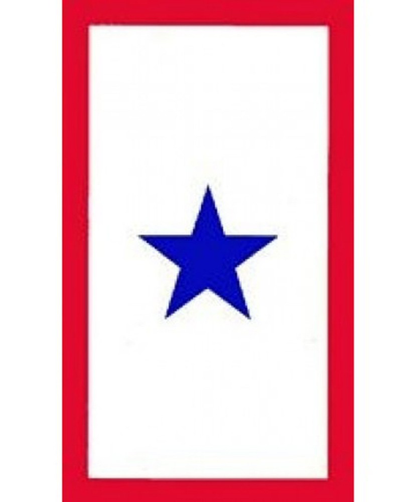 Blue Star Service Window Sticker