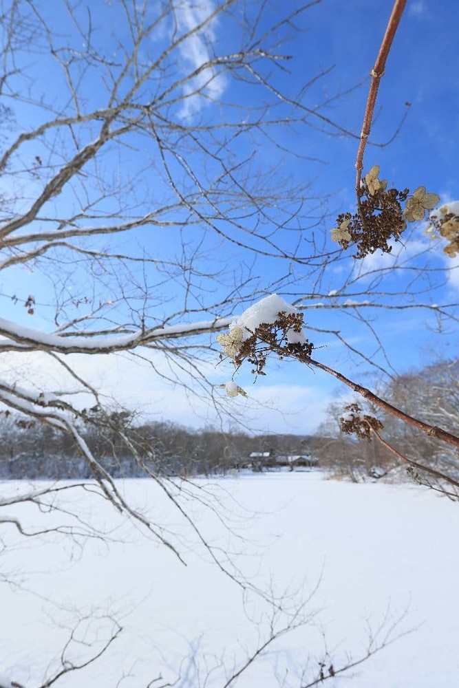 Canon EF 20 F2.8 USM [Defective]