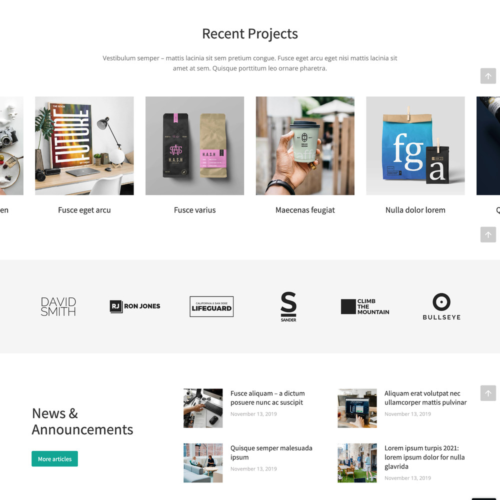Starter Website Design with Free VPS Web Hosting and Installation